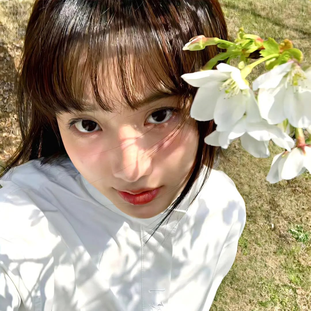 樱花回声 海报